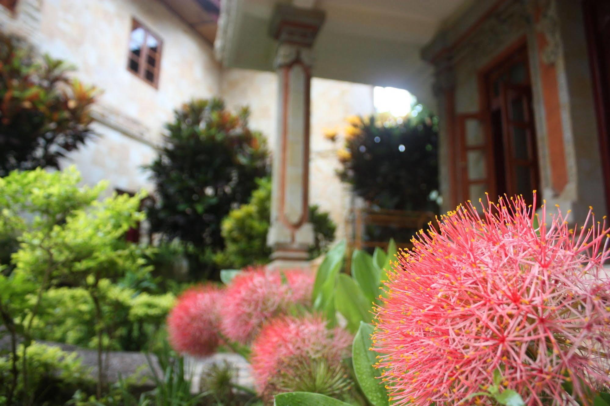 Rambutan Boutique Hotel Lovina (Bali) Bagian luar foto